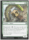 Segmented Krotiq Foil 202 Dragons of Tarkir Magic: The Gathering LP