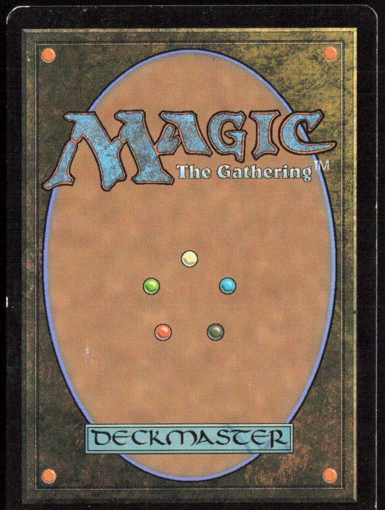 Evolving Wilds 248 Dragons of Tarkir Magic: The Gathering LP