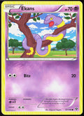 Ekans 47/146 XY Base Set Pokemon TCG LP
