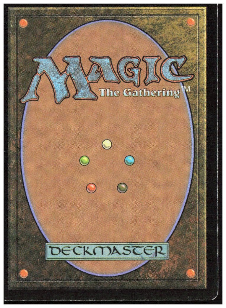 Forest - Full Art 273 Battle for Zendikar Magic: The Gathering LP