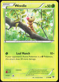 Weedle 3/146 XY Base Set Pokemon TCG LP