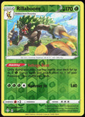 Rillaboom Reverse Holo 013/072 Shining Fates Pokemon TCG LP