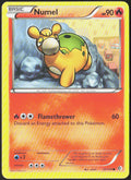 Numel 21/149 Boundaries Crossed Pokemon TCG LP