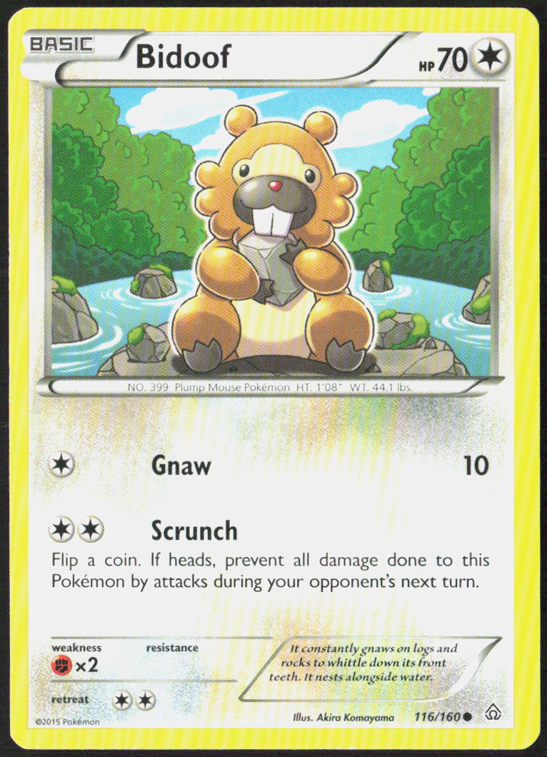 Bidoof 116/160 XY - Primal Clash Pokemon TCG LP