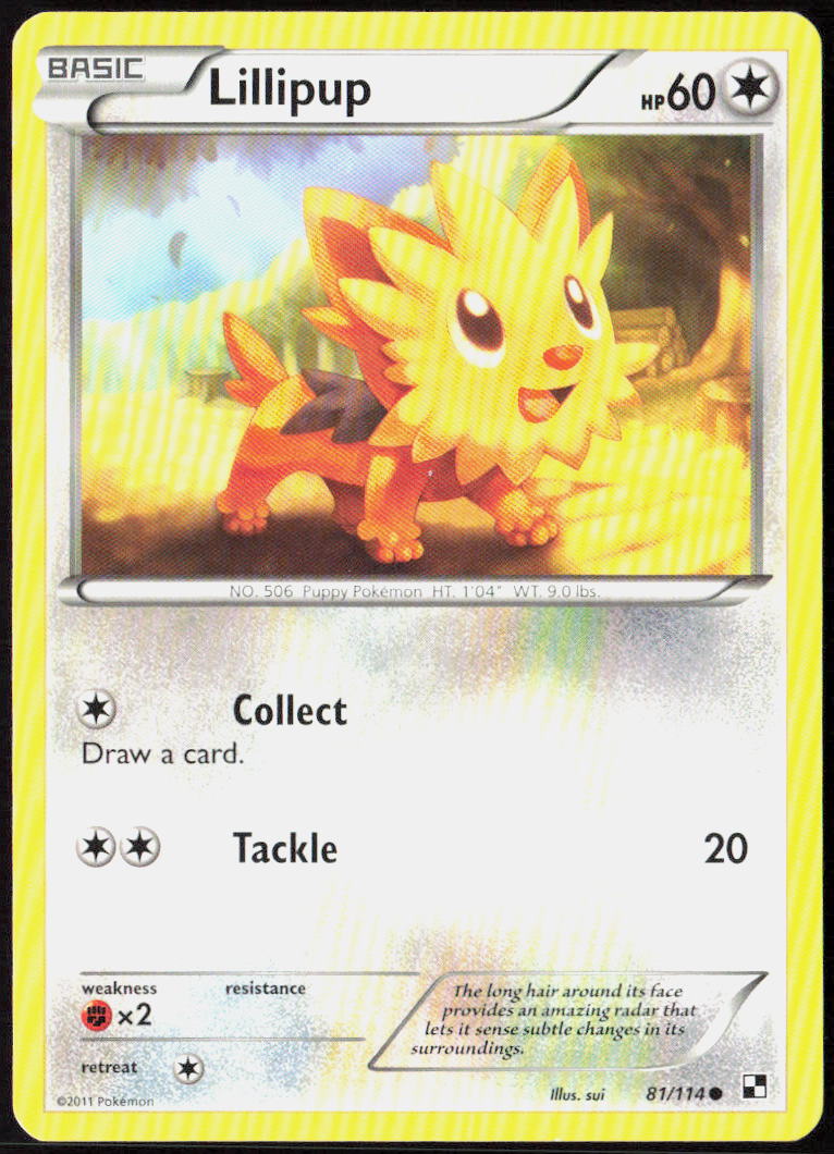 Lillipup (81) 81/114 Black and White Pokemon TCG LP