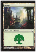 Forest 272 Return to Ravnica Magic: The Gathering LP