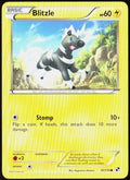 Blitzle (41) 41/114 Black and White Pokemon TCG LP