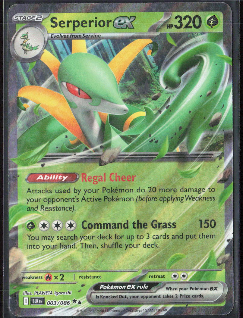 Serperior ex Holo 003/086 SV: Black Bolt Pokemon TCG NM