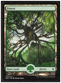 Forest - Full Art 273 Battle for Zendikar Magic: The Gathering LP