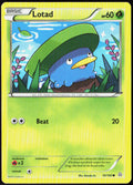 Lotad 10/160 XY - Primal Clash Pokemon TCG LP