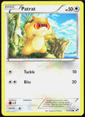 Patrat (77) 77/114 Black and White Pokemon TCG LP