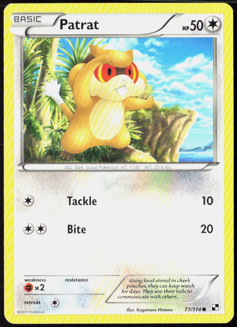 Patrat (77) 77/114 Black and White Pokemon TCG LP