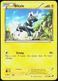 Blitzle (41) 41/114 Black and White Pokemon TCG LP