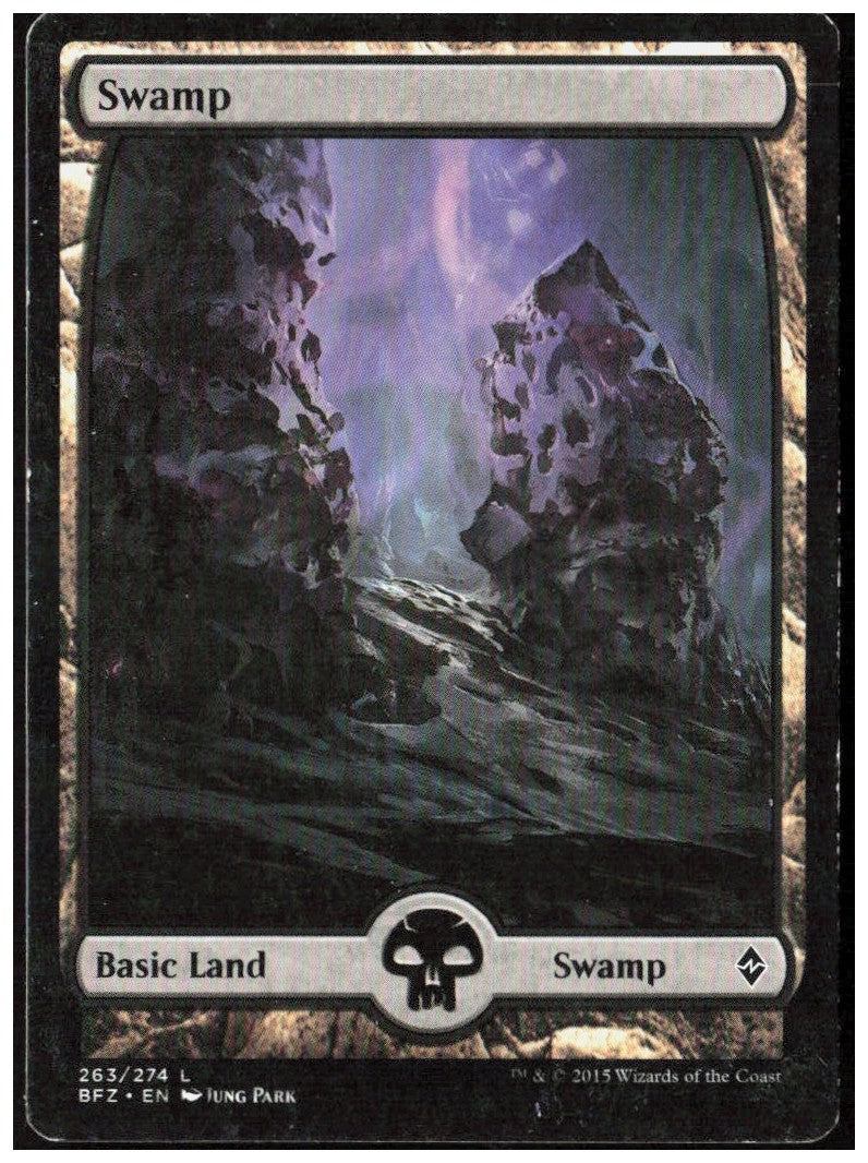 Swamp - Full Art 263 Battle for Zendikar Magic: The Gathering LP