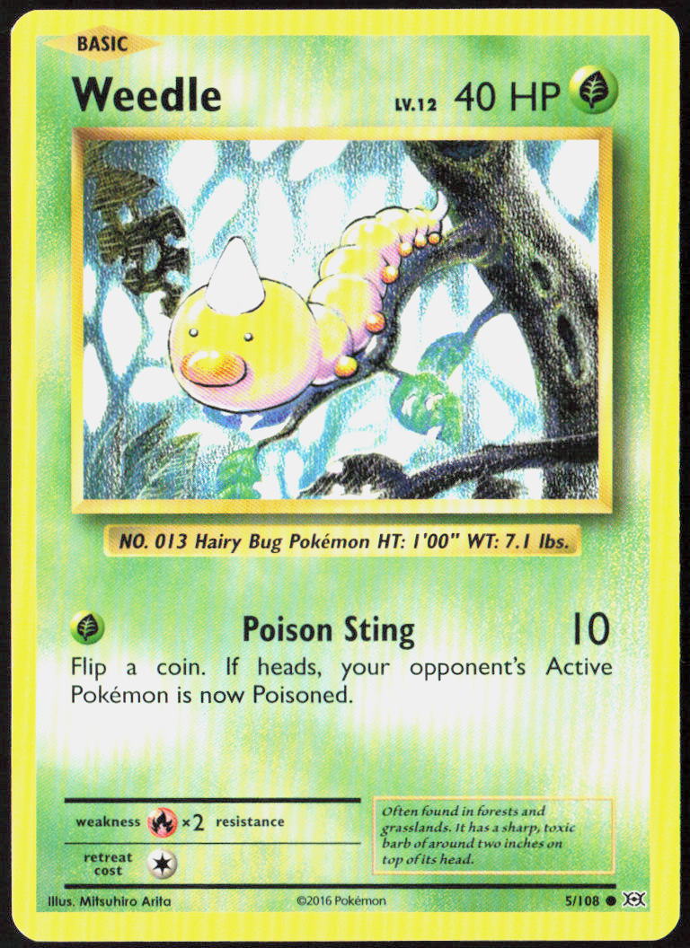 Weedle 5/108 XY - Evolutions Pokemon TCG LP