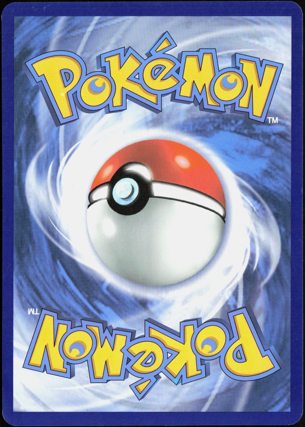 Dubwool V Holo SWSH049 Jumbo Cards Pokemon TCG NM
