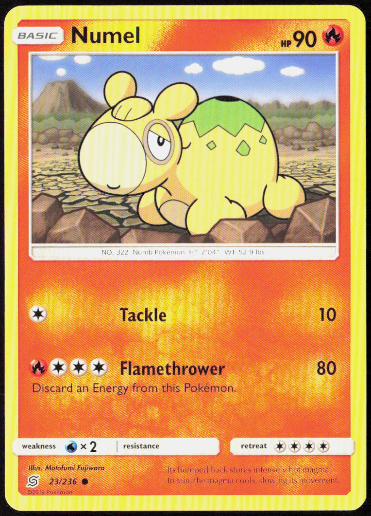 Numel 23/236 SM - Unified Minds Pokemon TCG LP