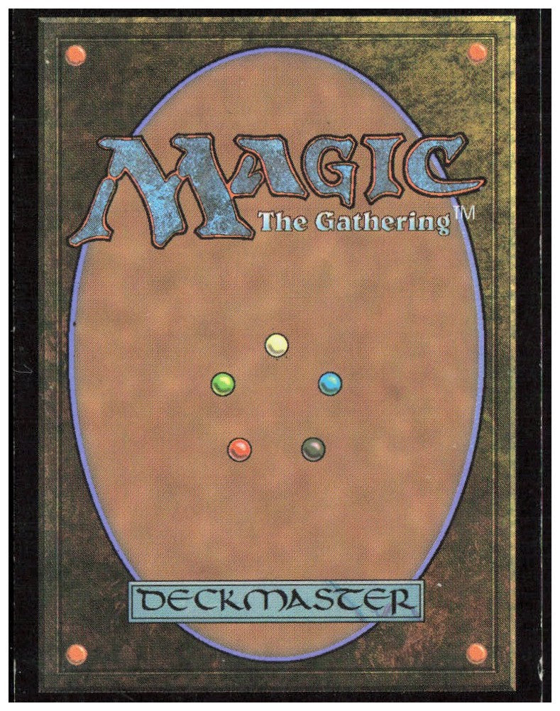 Forest 272 Return to Ravnica Magic: The Gathering LP