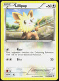 Lillipup 120/149 Boundaries Crossed Pokemon TCG LP