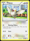 Pidove 78/108 XY - Roaring Skies Pokemon TCG LP