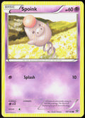 Spoink 49/146 XY Base Set Pokemon TCG LP