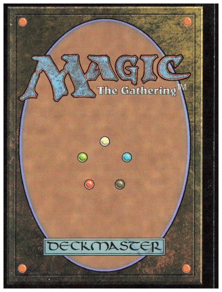 Swamp - Full Art 264 Battle for Zendikar Magic: The Gathering LP