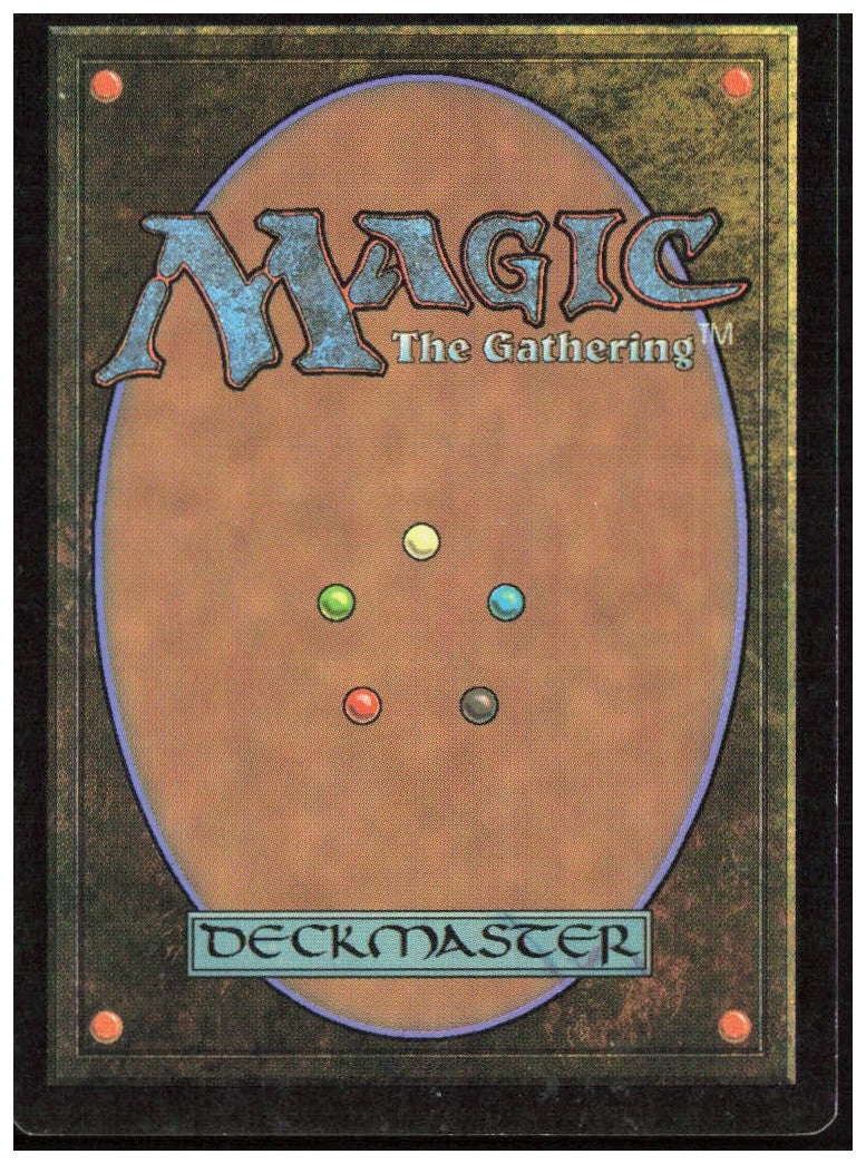 Forest 247 Magic 2013 (M13) Magic: The Gathering LP
