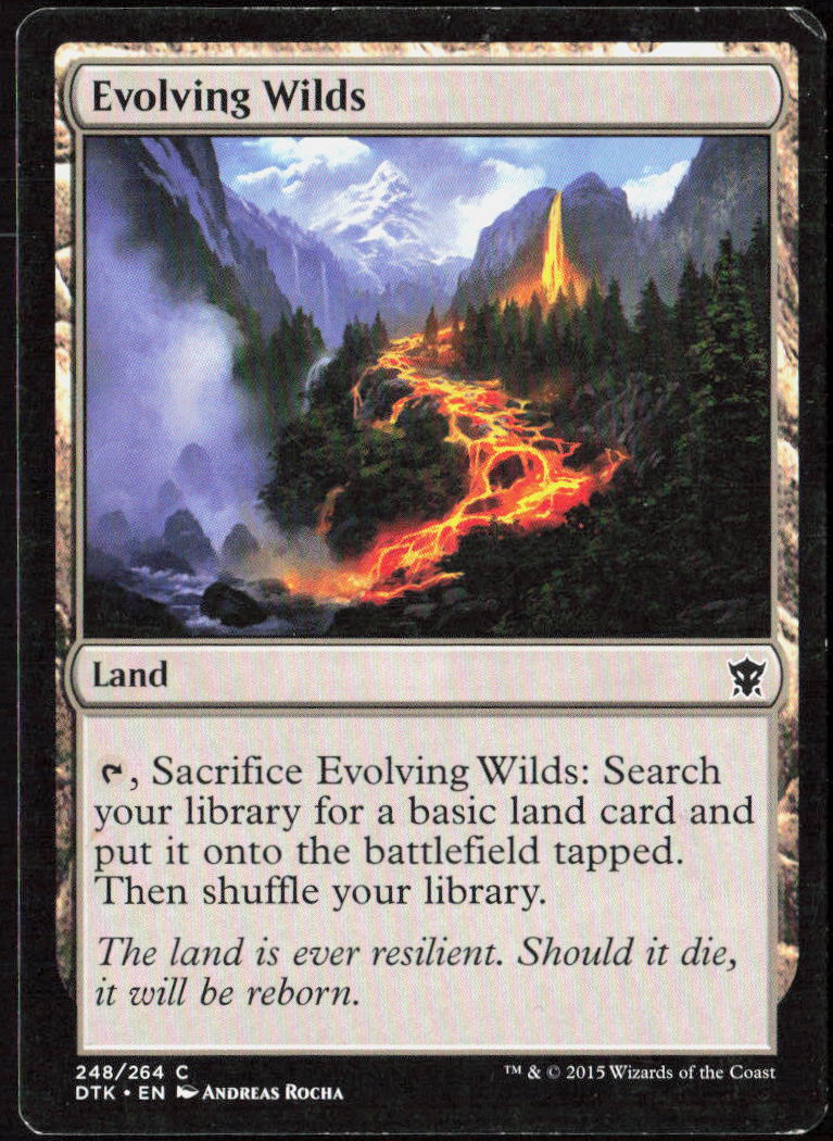 Evolving Wilds 248 Dragons of Tarkir Magic: The Gathering LP