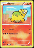Numel 12/122 XY - BREAKpoint LP