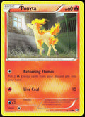 Ponyta 16/114 XY - Steam Siege Pokemon TCG LP
