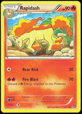 Rapidash 17/114 XY - Steam Siege Pokemon TCG LP