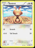 Sentret 81/106 XY - Flashfire Pokemon TCG LP