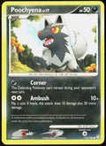 Poochyena 116/146 Legends Awakened Pokemon TCG LP